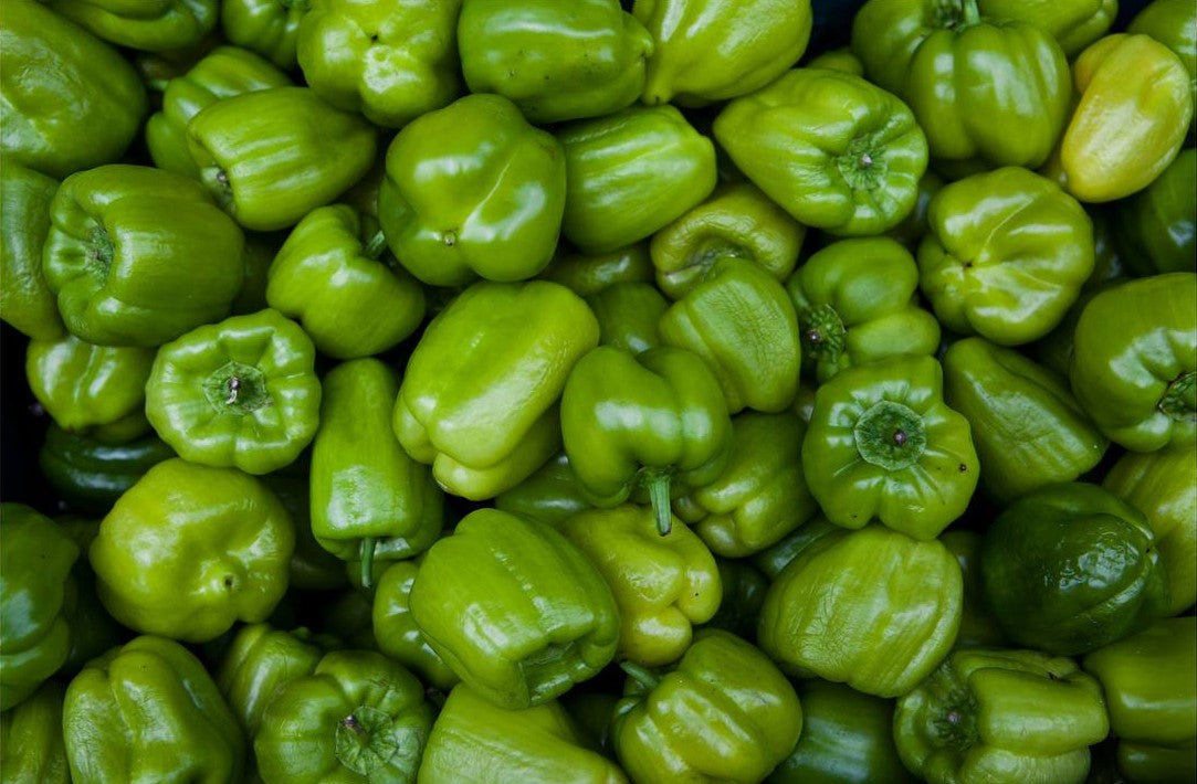 Bell Pepper Green
