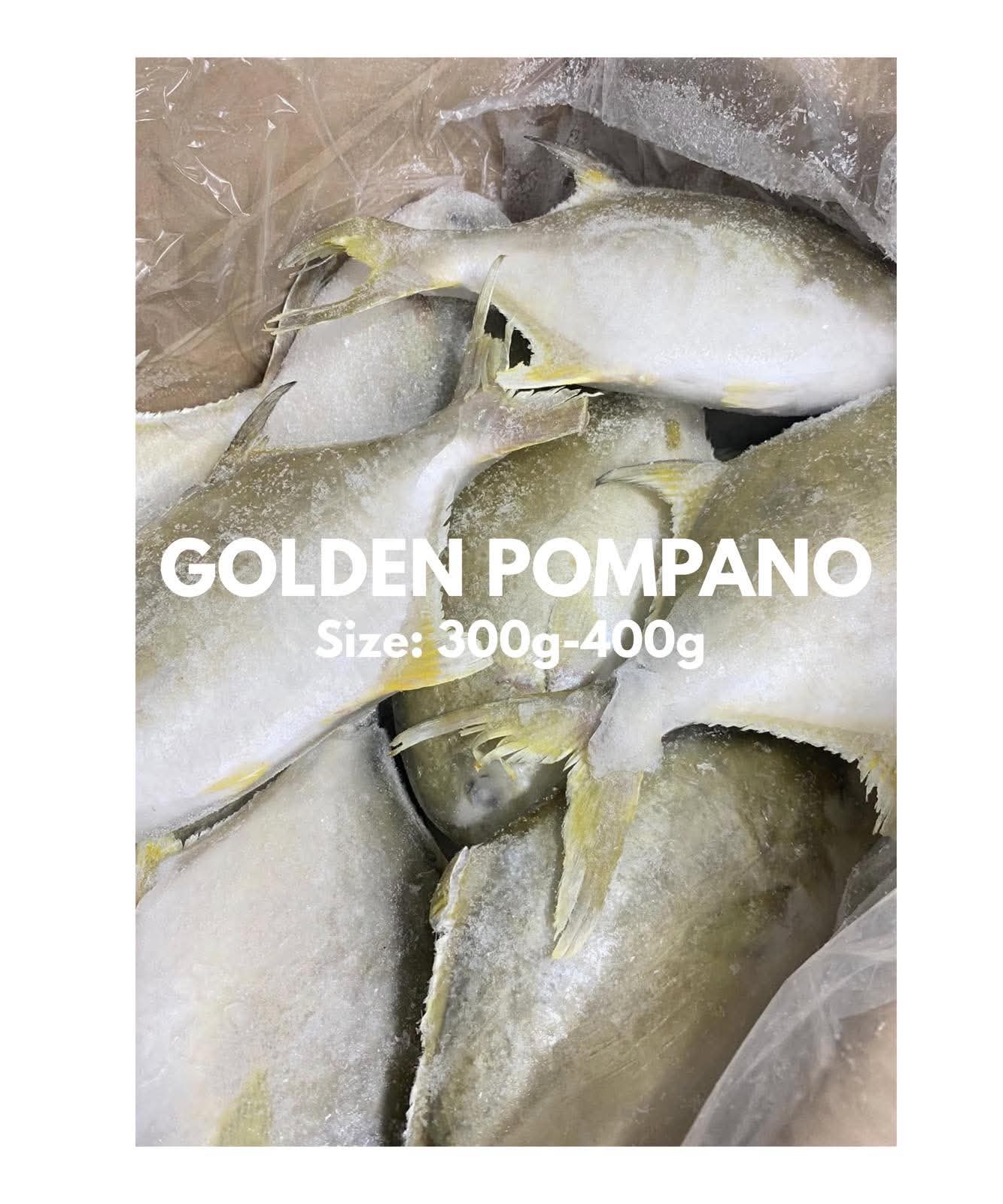 Golden Pampano 300-400g