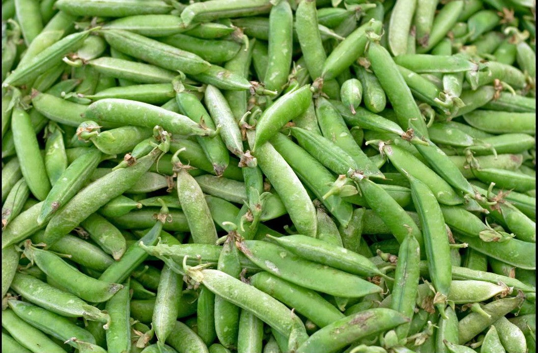 Sitsaro / Snow Peas