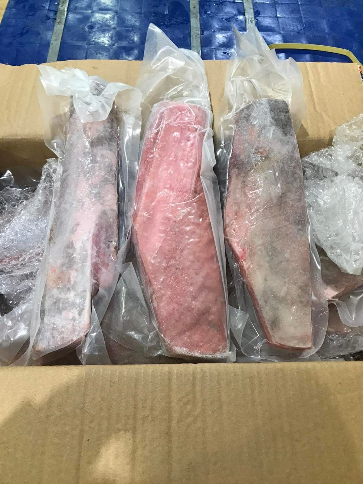 Tuna Belly Premium CO IVP 300-500g