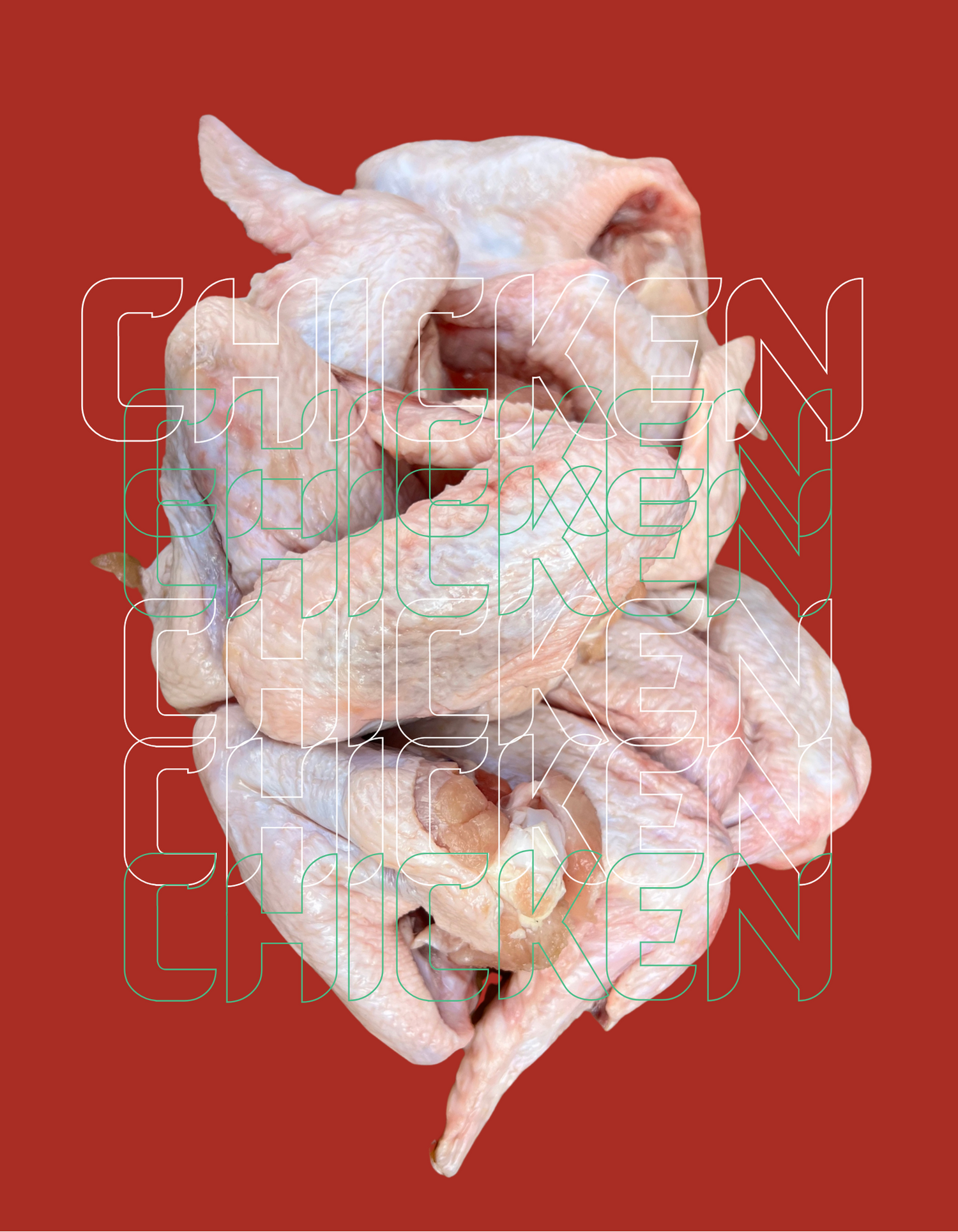 Chicken
