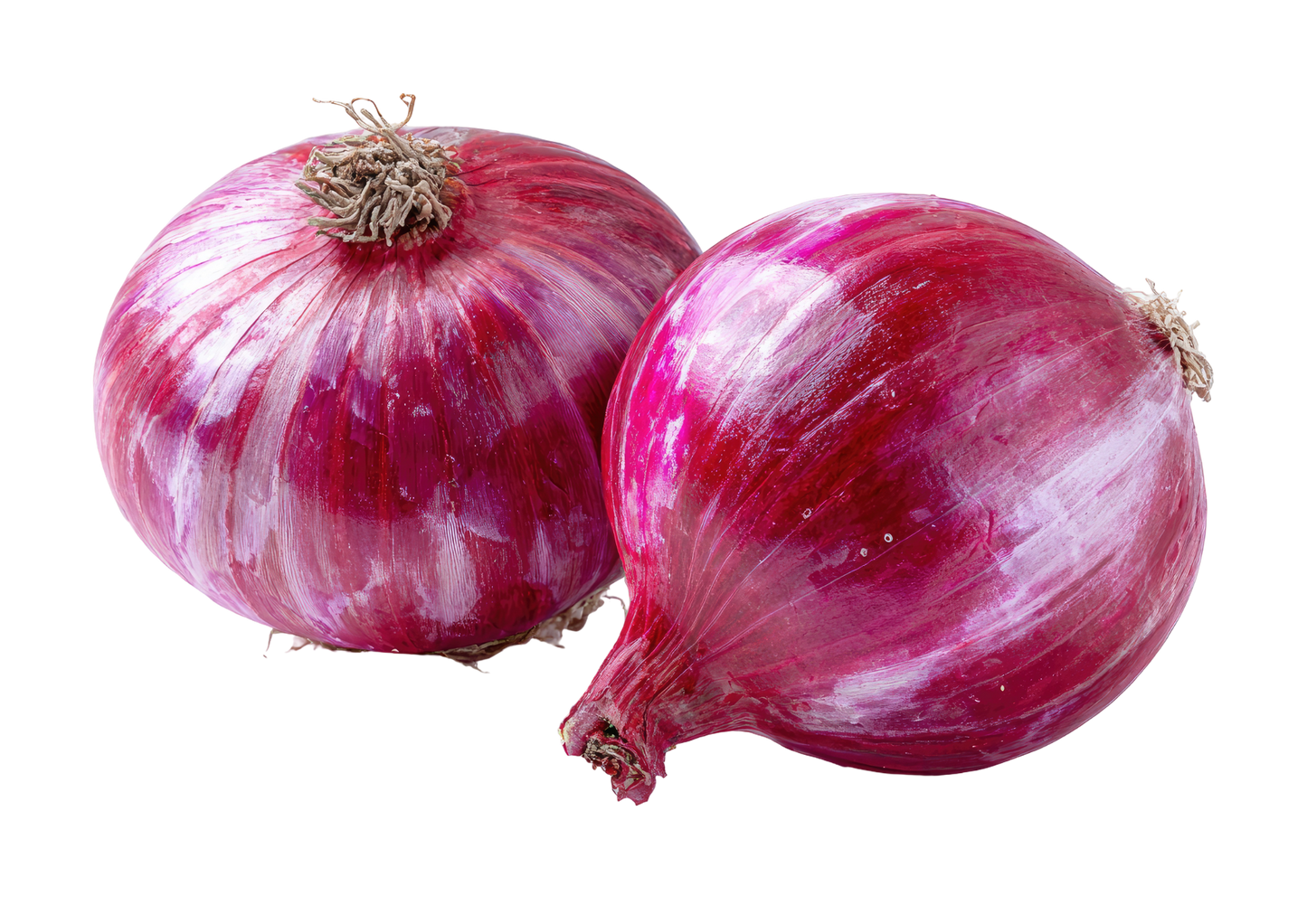 Red Onion Large