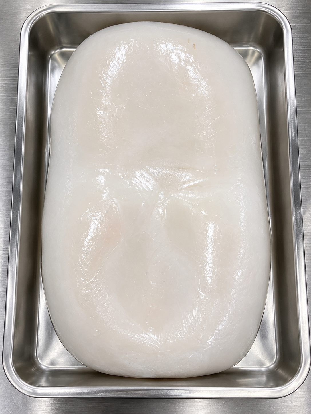 Giant Squid Fillet