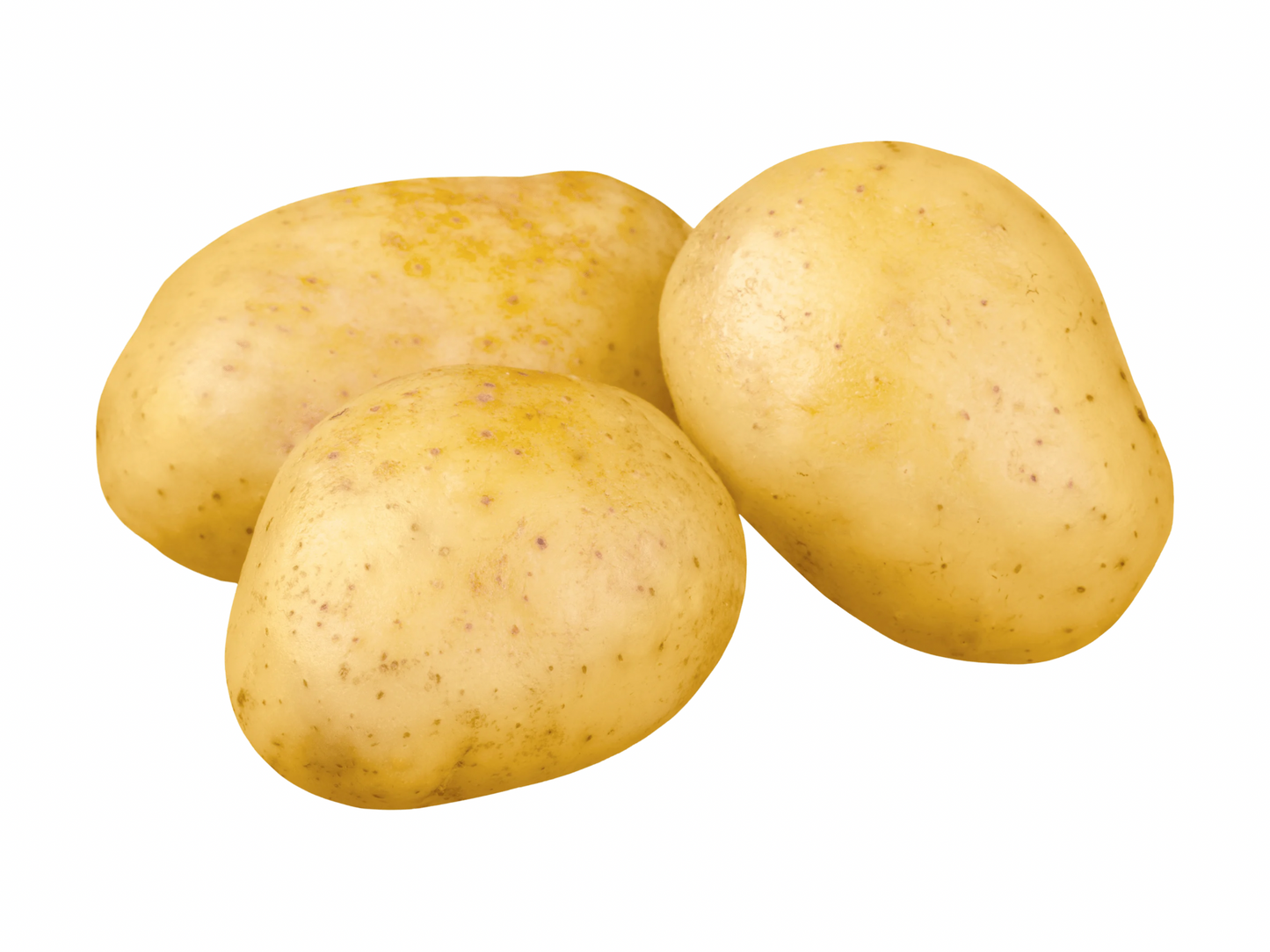 Potato Large