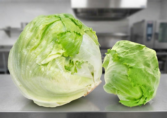 Lettuce Iceberg