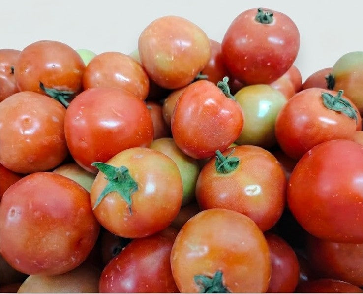 Tomato