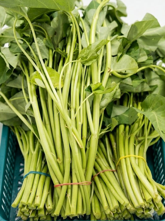 Kangkong