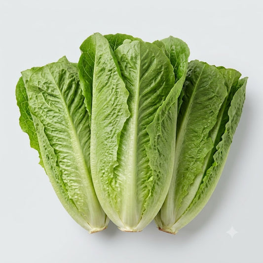 Romaine Lettuce