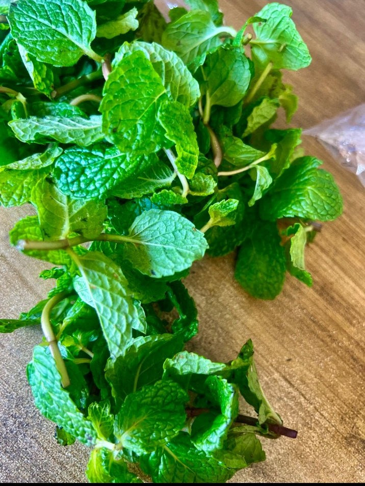 Fresh Mint