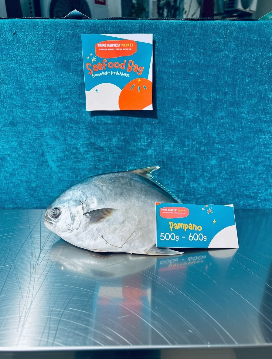 Golden Pampano 500-600g
