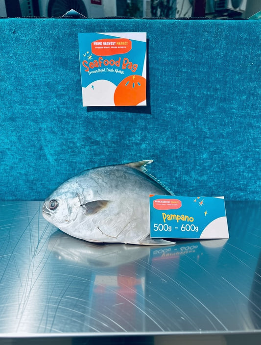Golden Pampano 500-600g