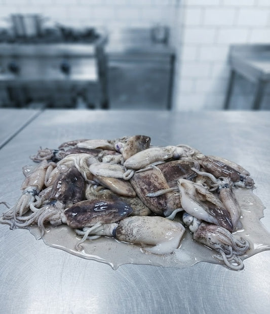 Pusit Lumot 600-800g
