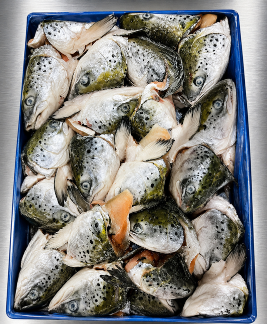 Salmon Head Bloke 400g