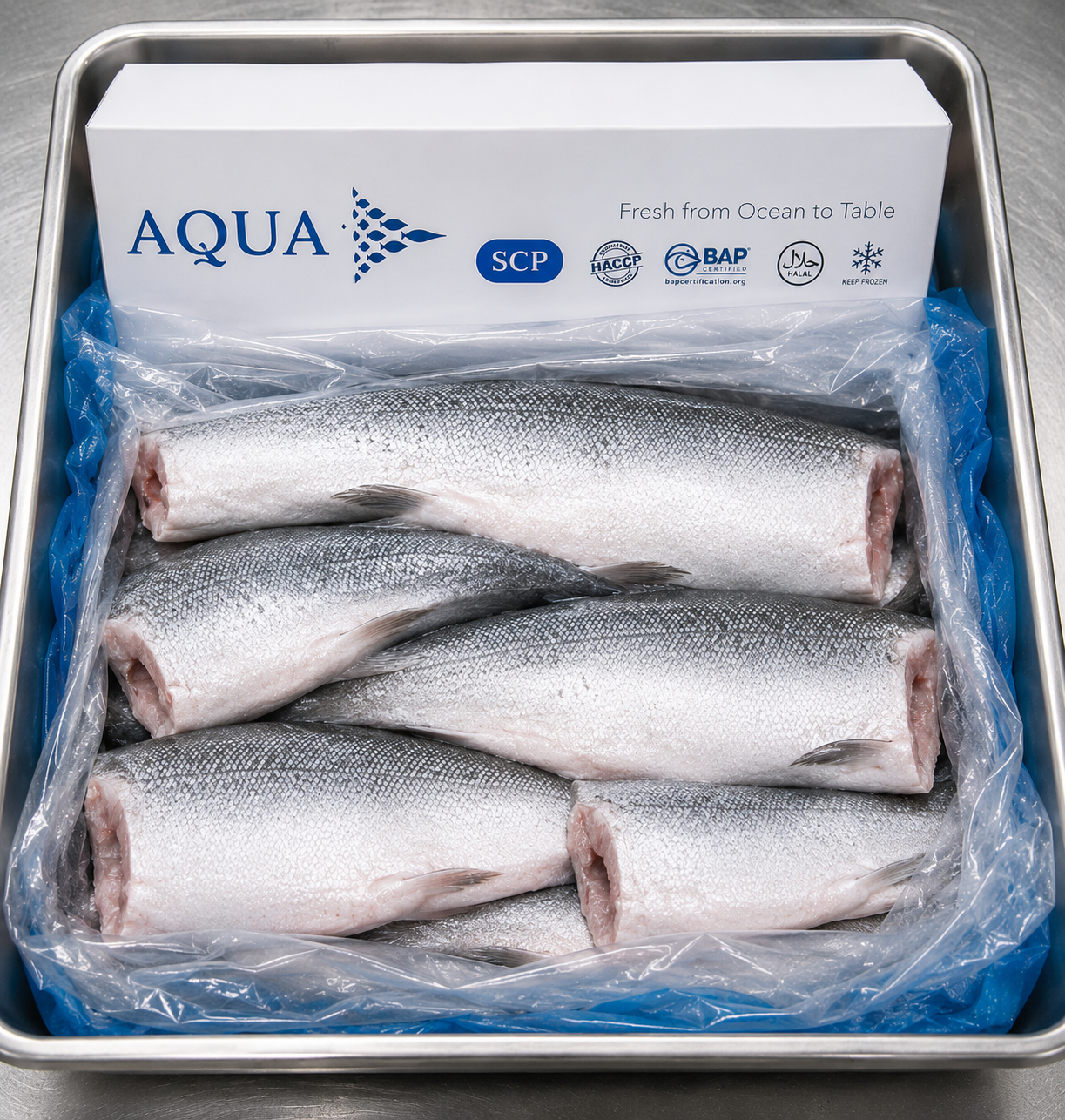 Salmon Whole Headless AQUA