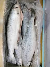 Salmon Whole SEABORN