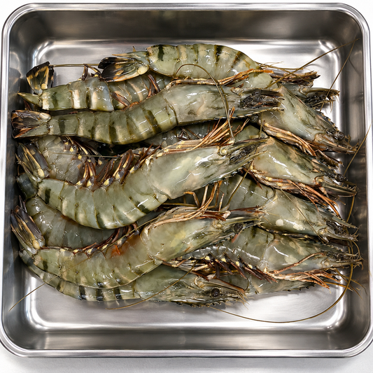 HOSO Whole Shrimp 14-18g