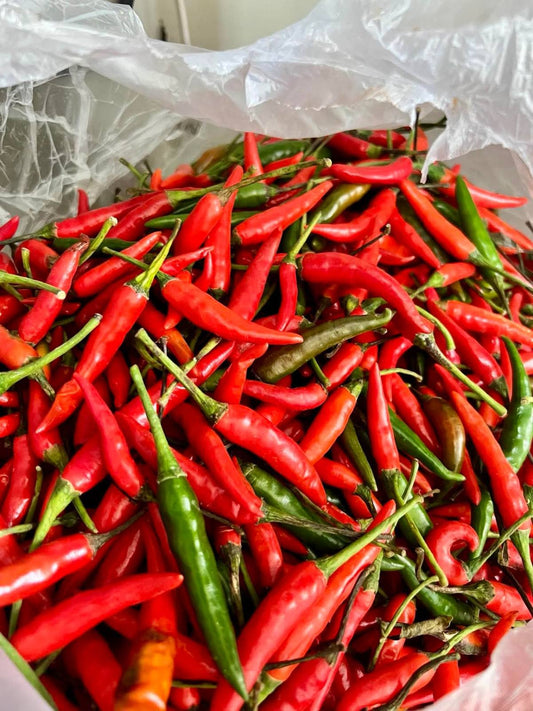 Sili Labuyo