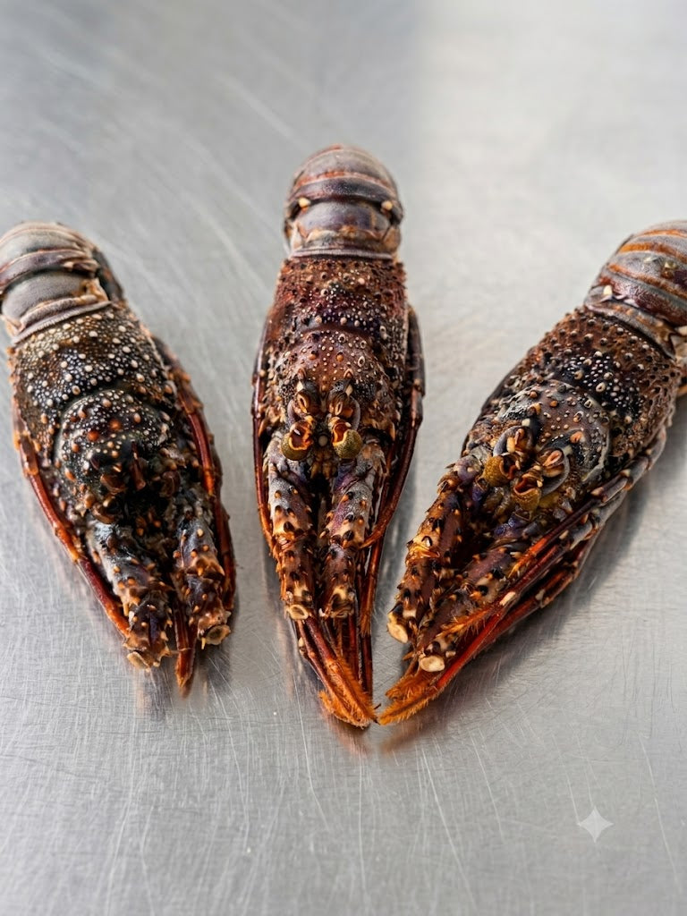Spiny Rock Lobster 168g