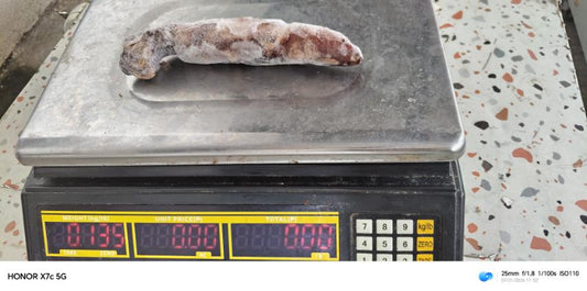 Squid Kalawang Bloke IQF 100-300g
