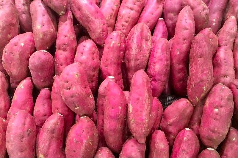 Kamote / Sweet Potato
