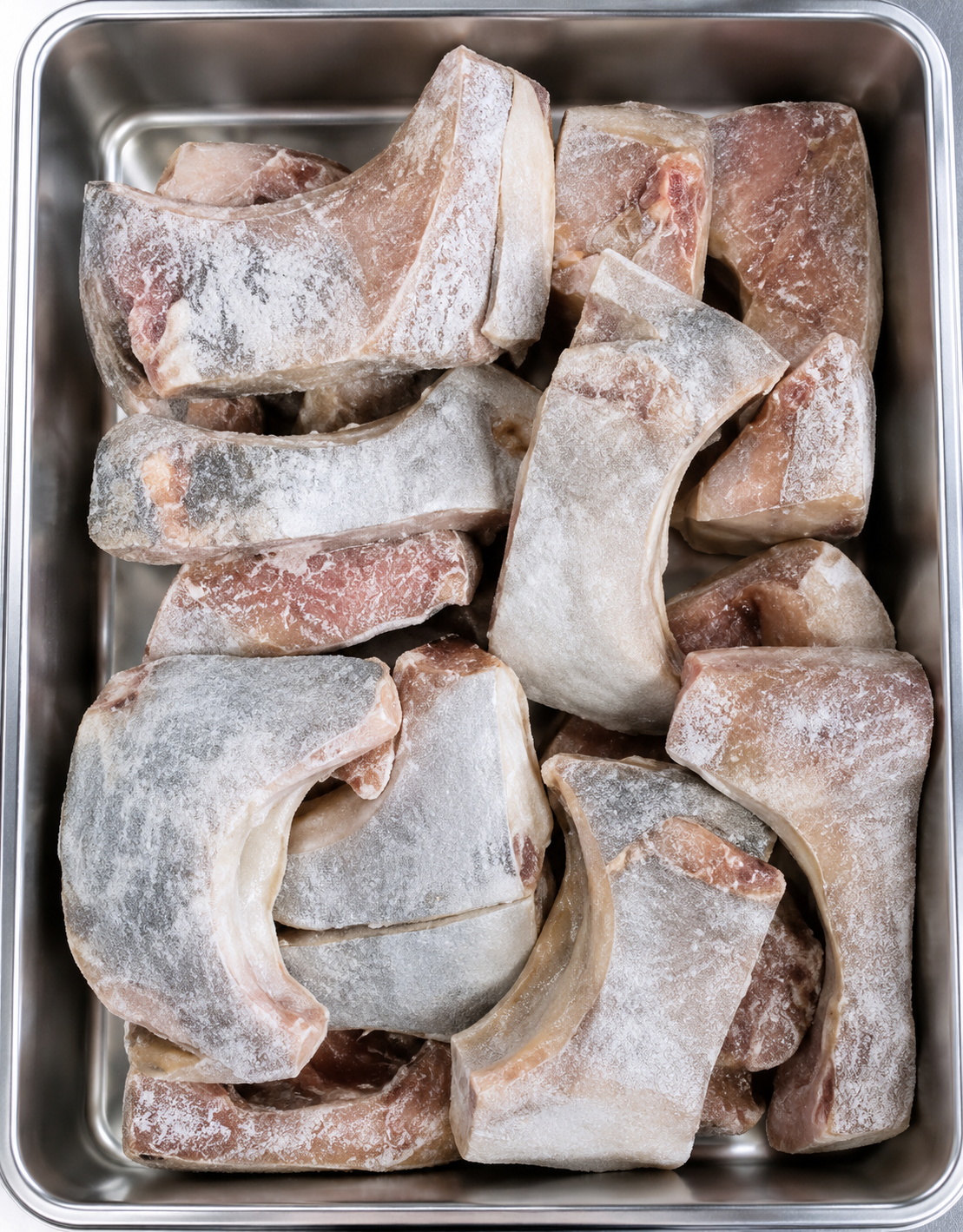 Tuna Panga Premium CO IWP 300-500g